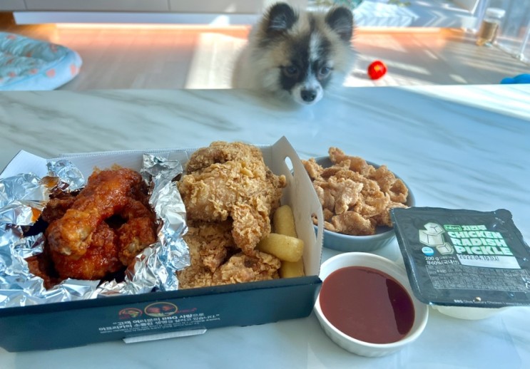 [카카오톡 선물하기] BBQ 기프티콘 사용방법 & 다른 메뉴로 변경 🍗