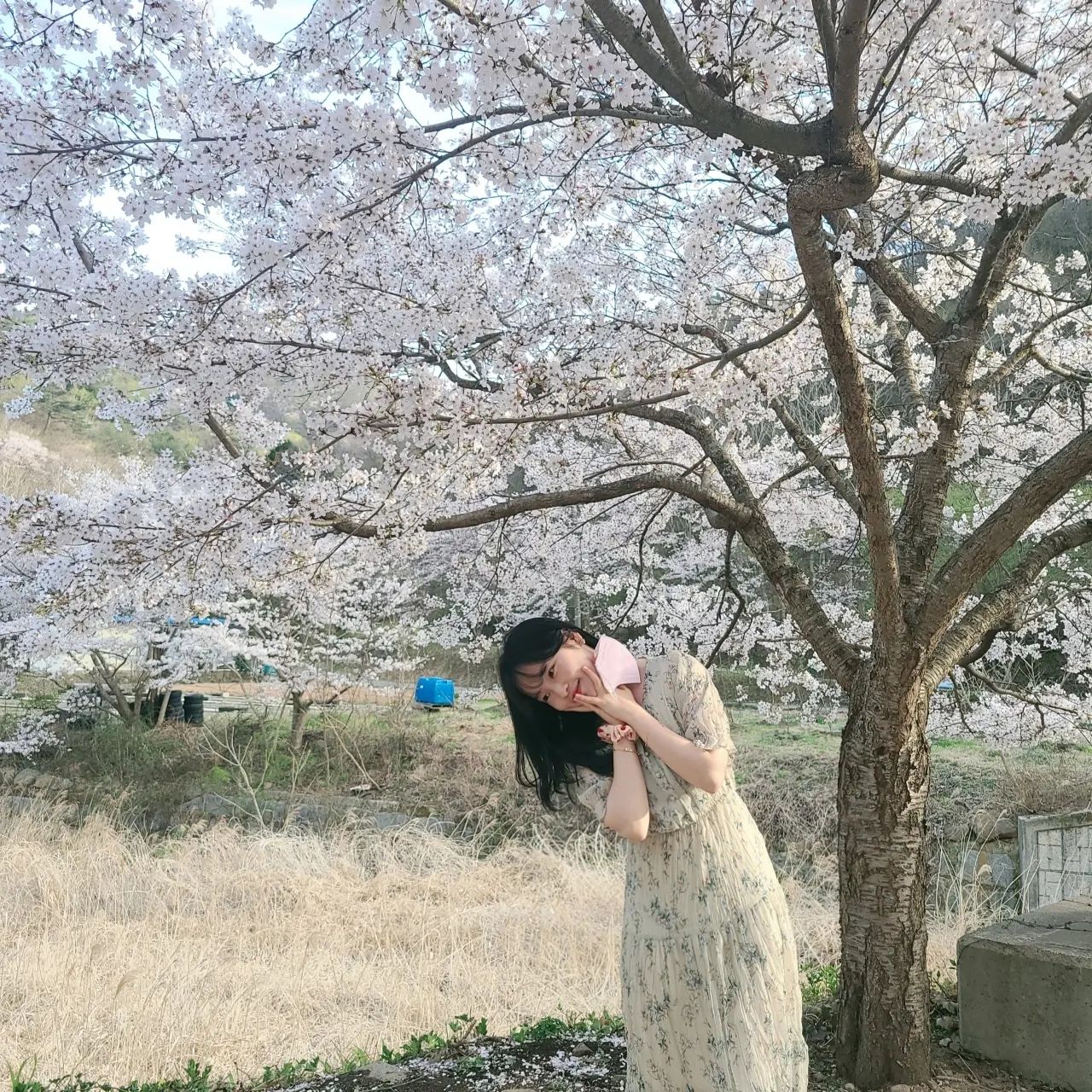 꽃조와😋
뒷모습 귀엽데서 올려봄ㅎㅎ