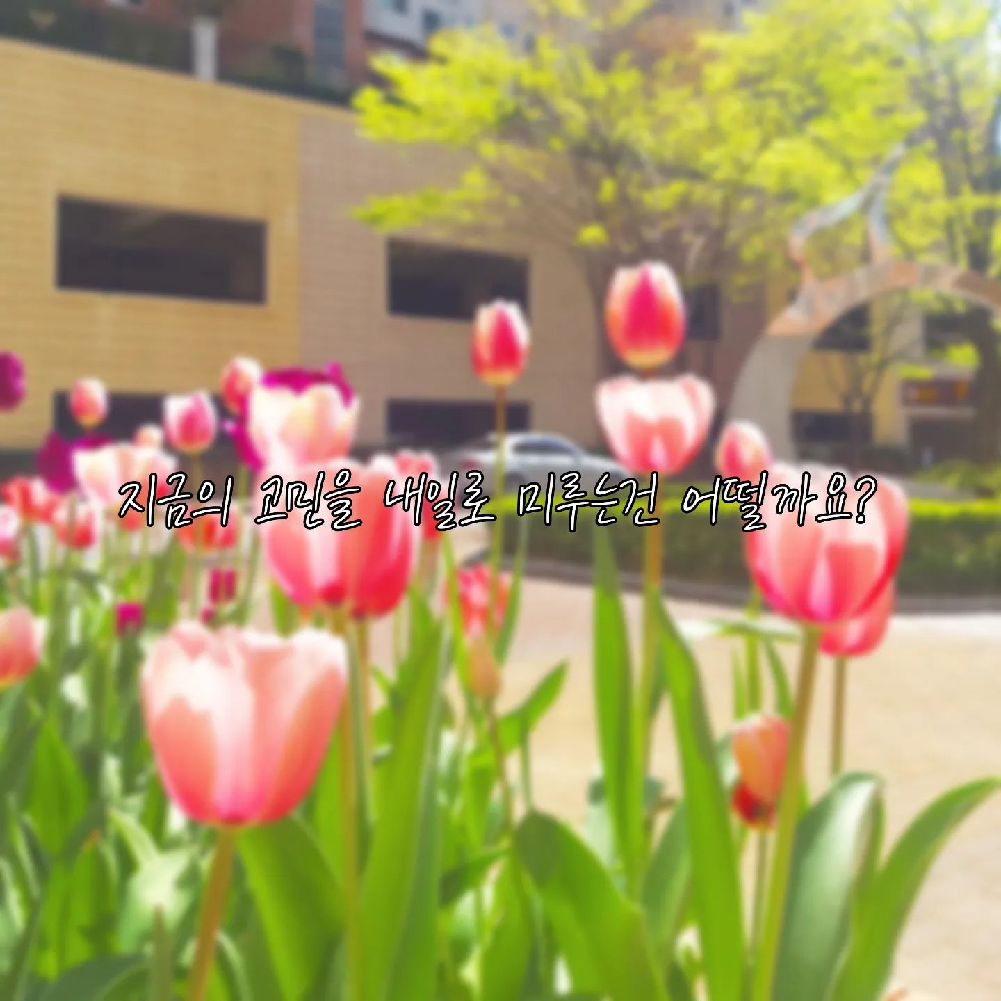 67번째 자작 글귀