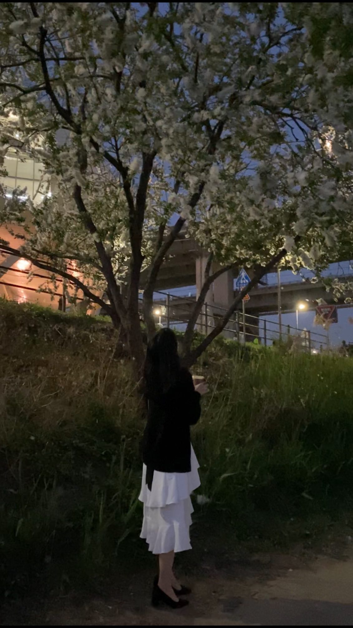 바람에 날리는게 너무 예뻤어🌸🤍
#꽃비 #바람 #한강 #뚝섬유원지 #뚝섬 #건대 #건대입구 #좋아요 #좋아요반사 #선팔 #맞팔 #선팔하면맞팔 #fff #follow #like #힐링 #릴스 #한강공원 #일상 #데일리 #daily #iphone #아이폰 #원피스 #98 #25 #99 #대학생 #ootd #오늘뭐입지