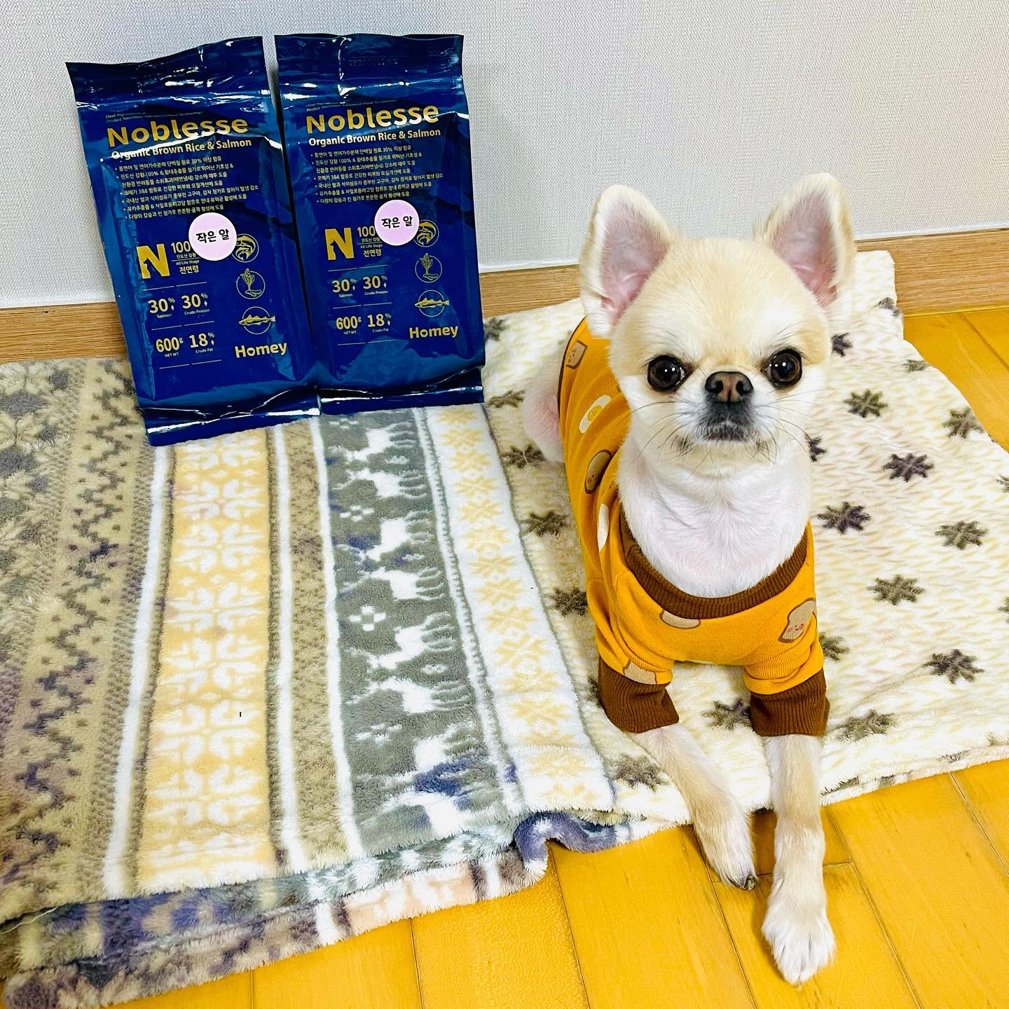 #협찬 

노블레스 반려견사료 1.2kg (작은알)🐶

황금푸드 진도 울금을 첨가한 최고급 력셔리 애견사료🍚🍚
우리 댕댕이는 시져랑 비벼주지 않으면 사료를 안 먹는데~
노블레스 사료는 건사료여도 냄새맡더니 바로 먹더라구요🧡
80% 이상의 애견들이 잘 먹는 냄새, 맛을 최상으로 유지해서~
댕댕이들에게는 뛰어난 기호성 사료로 유명하네요👏🏻👏🏻👏🏻

진도 울금의 커큐민•폴리페놀로 면역력 및 항산화효과👍🏻
진도 울금 추출물 배합으로 변 냄새 감소와 무른 변 개선💩💩
모질•피부가 개선되어 목욕할 날이 지나도 냄새가 줄고~👃🏻
유루증, 눈물착색이 호전되며, 눈물자국을 줄이는데 효과💧👍🏻
또한 사료의 제조일이 짧아 최고의 신선도 유지 관리도 만족🤩

제가 느낀점은 확실 노블레스 사료를 4일정도 먹고~
댕댕이가 볼일을 봤을때 냄새가 확실히 덜 났어요~🥹🥹👍🏻👍🏻
반려동물은 또 하나의 가족이잖아요~🐶👧🏻👦🏻👩🏻‍🦱
가족이 먹는것에 신경써야 하는건 당연한거 아닌가요~?
일일권장 급여량을 확인해서 주면 될 것 같아요~🐶🍚

🏷 https://www.onecore.kr/goods/view?no=53

#강아지사료 #진도울금 #노블레스사료 #강아지면역력 #프리미엄사료 #강아지강황 #강아지사료후기 #강아지울금사료