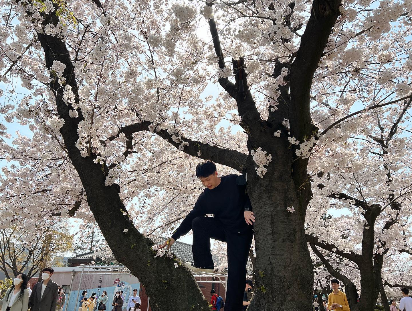 후덜덜🌸