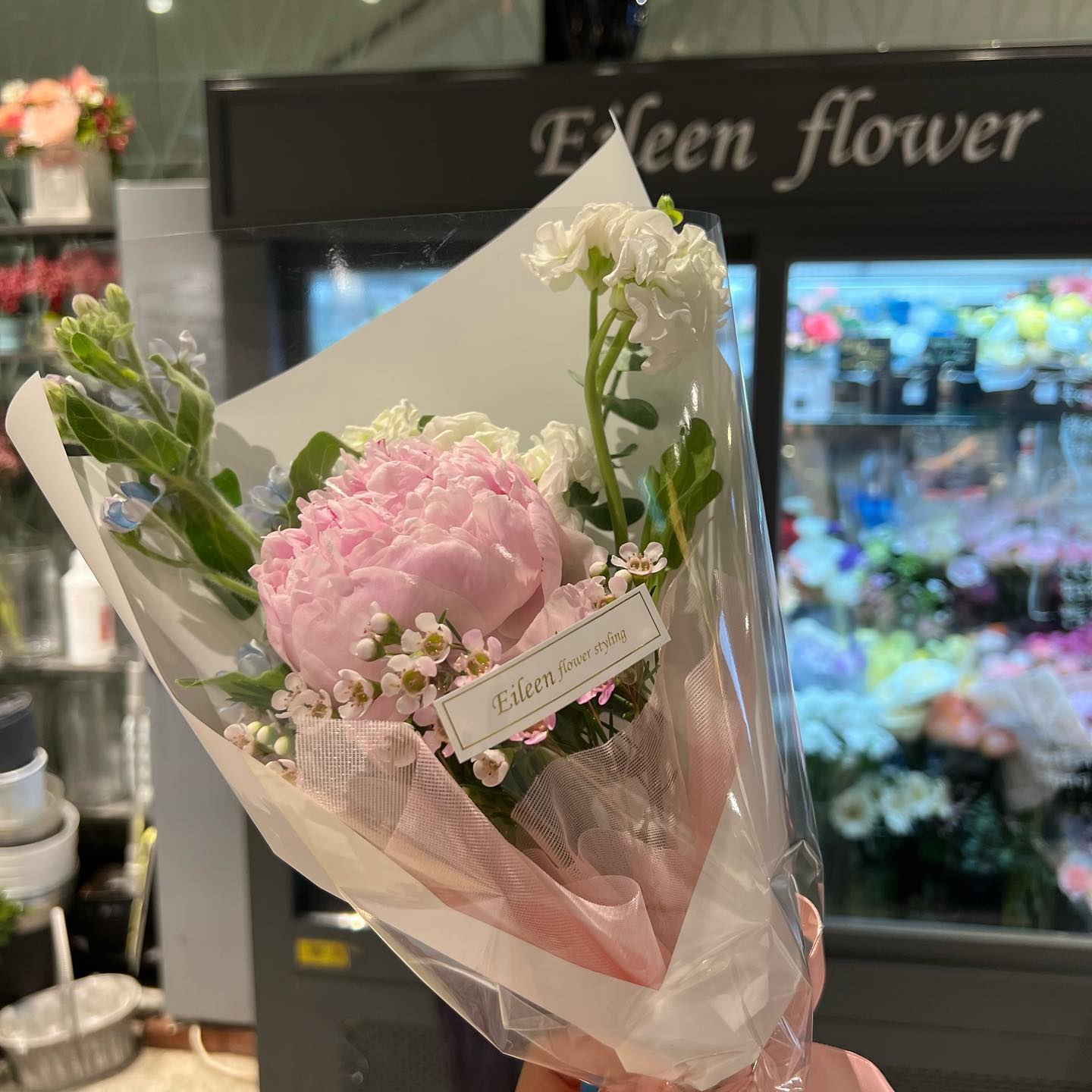 꽃이 하나하나 다 예쁘던 곳🌷그루트 화분까지 취향저격🫶🏻
