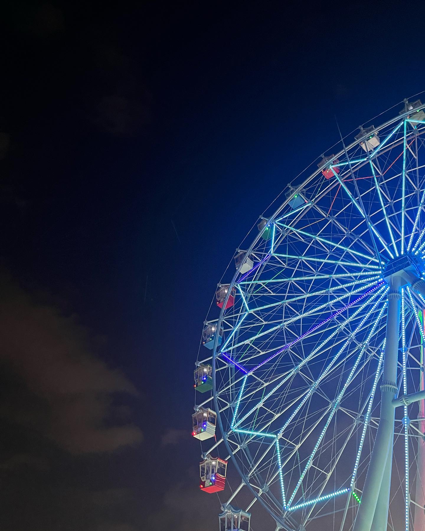 🎡