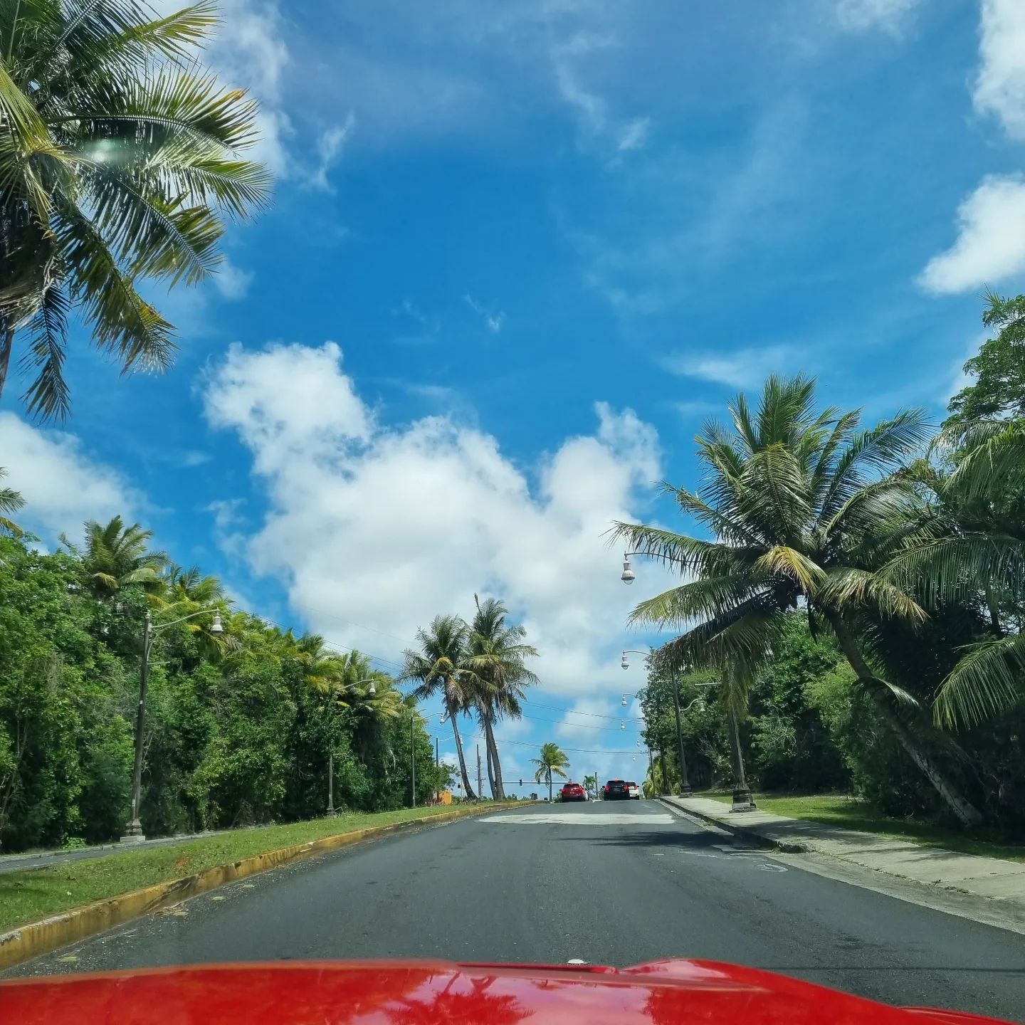 Guam🌴🍃💚
20220508~511
신혼여행🙈

식 끝나자마자 공항 근처 숙소로 갔는데
사진과 다른 숙소와 알수없는 4번의 벨튀
끝에 숙소를 나와 차에서 잤따^^
시부랄것 귀신인지 사람인지
귀신이여도 사람이어도 무섭
상황설명 했는데도 씨씨티비는 안보여주고
거기서 자면 뭔일 날것만같은 느낌
돌비 찍는줄 알았다

설잠을 잔 후 수속절차를 밟고 이것저것하다보니
어느새 비행기 탑승✈
괌 도착후 4박5일은 순식간에 지나갔따
🧳🧳🧳🇬🇺