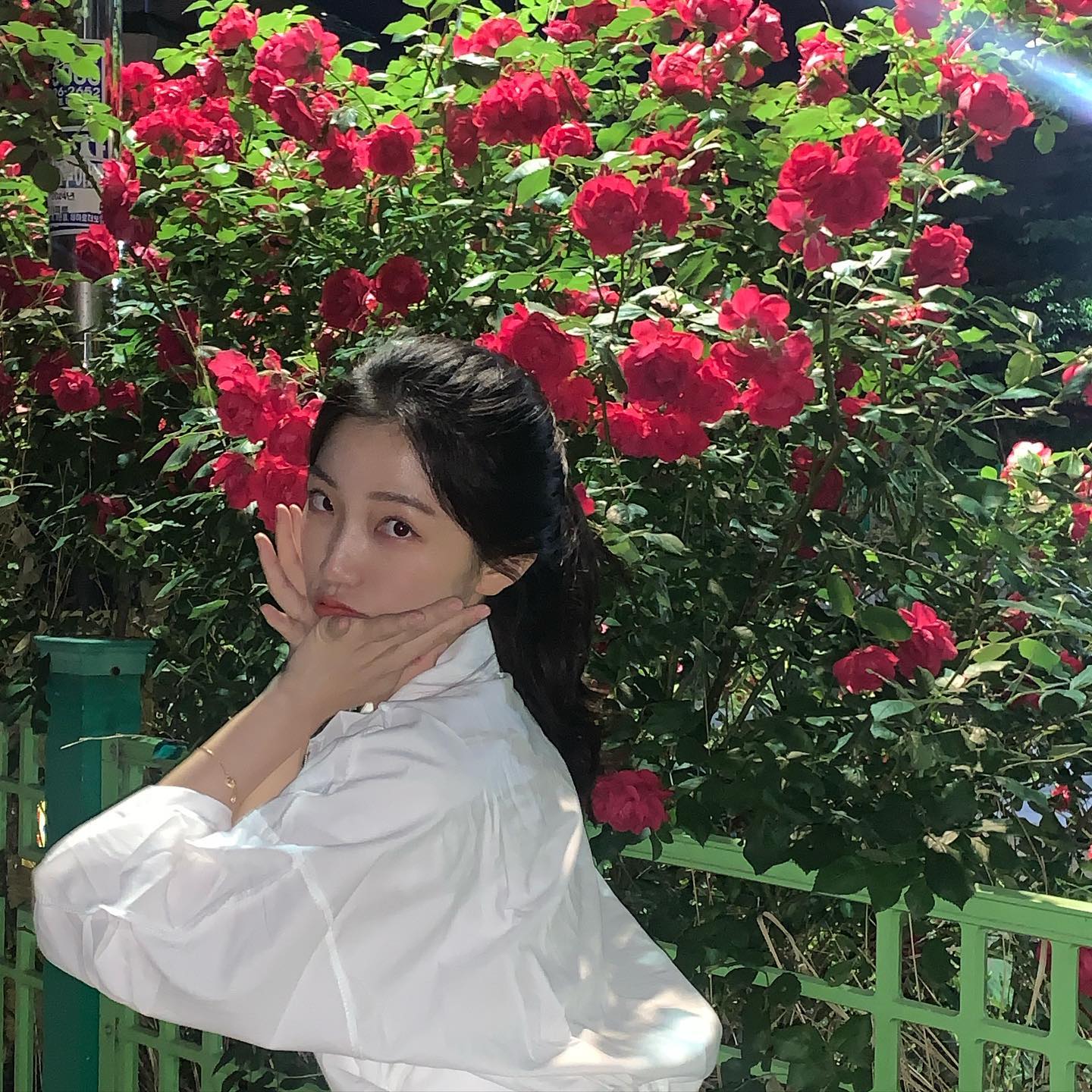 🌹
