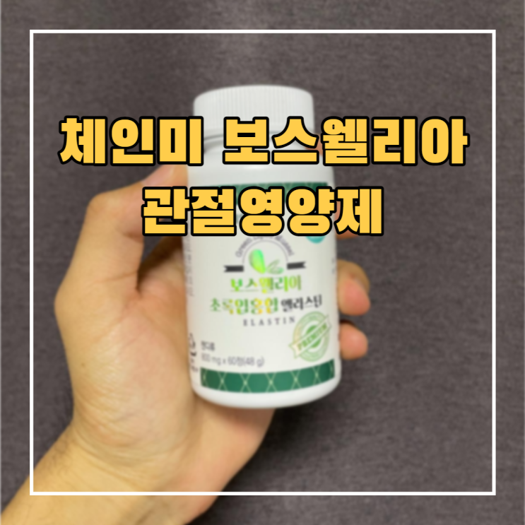 체인미 보스웰리아 초록입홍합 엘라스틴 관절연골 영양제