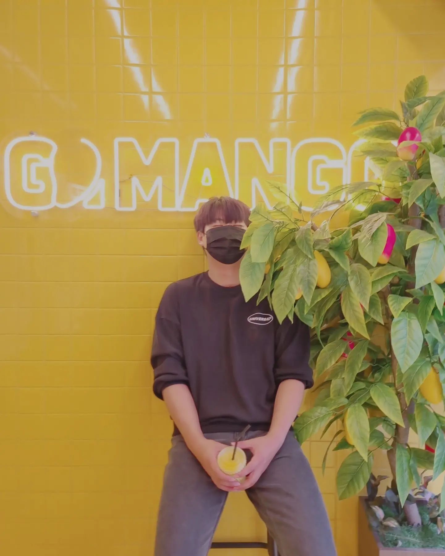 🥭
.
.
.
#망고 #고망고 #mango #gomango