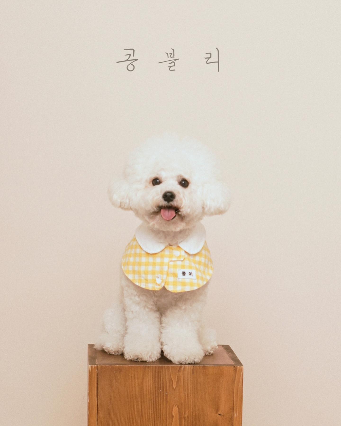 콩블리의 어김없이 사랑스런 5살의 기록✍🏻

#북촌사진관
