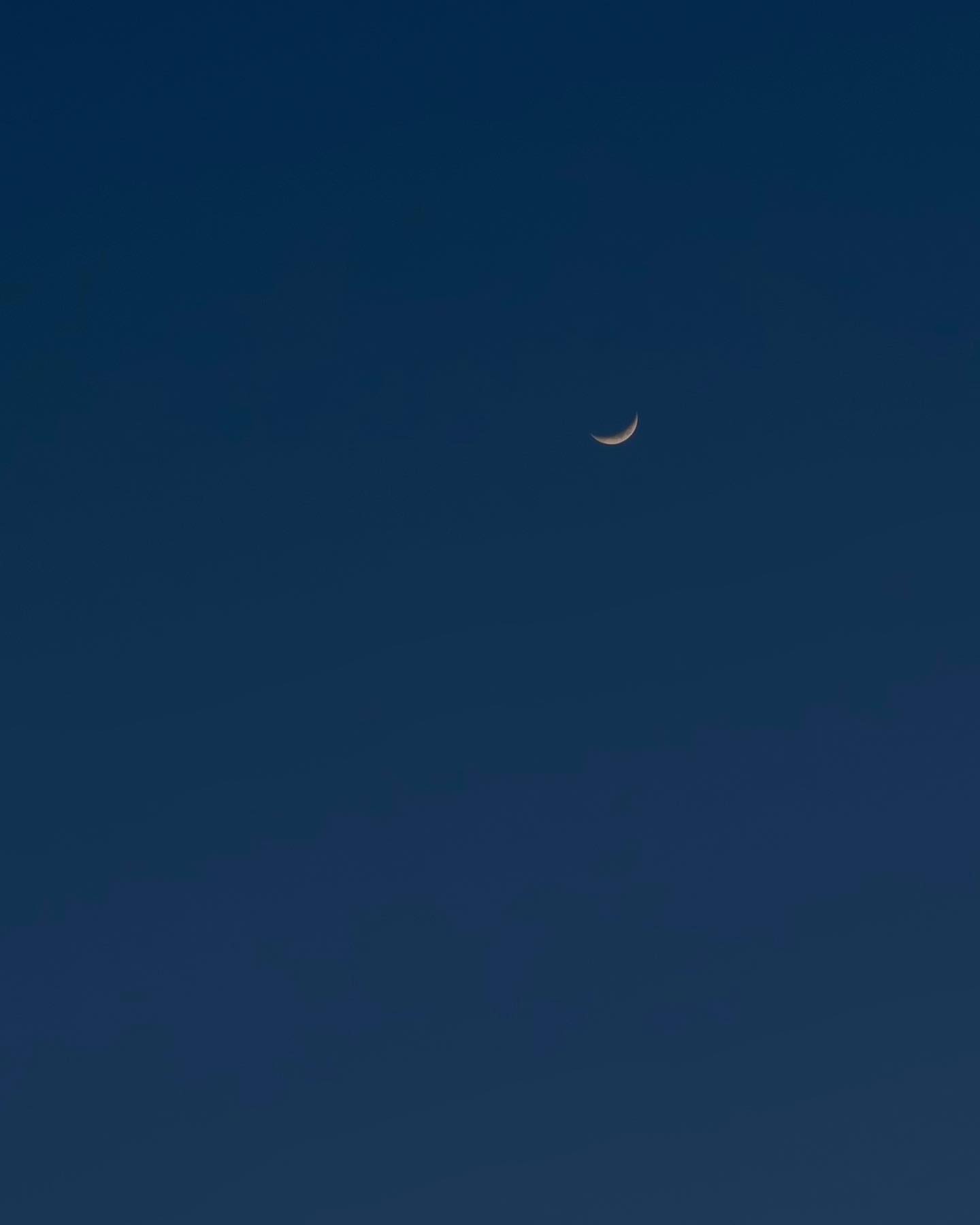 콘텐츠