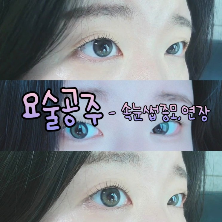 사가정속눈썹 맛집 " 요술공주 " 강력 추천 솔직후기 (무쌍의 속눈썹펌 여정기)