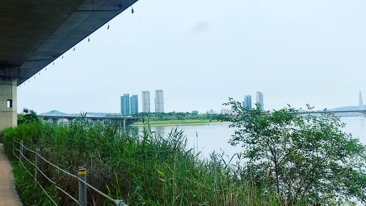 런데이 3일차

주3회 운동하겠다고 했지만 2회하고 포기한 지난주.... 이번주는 꼭!! 3회 이상 뛸거에요!!

#런데이 #러닝 #재택근무