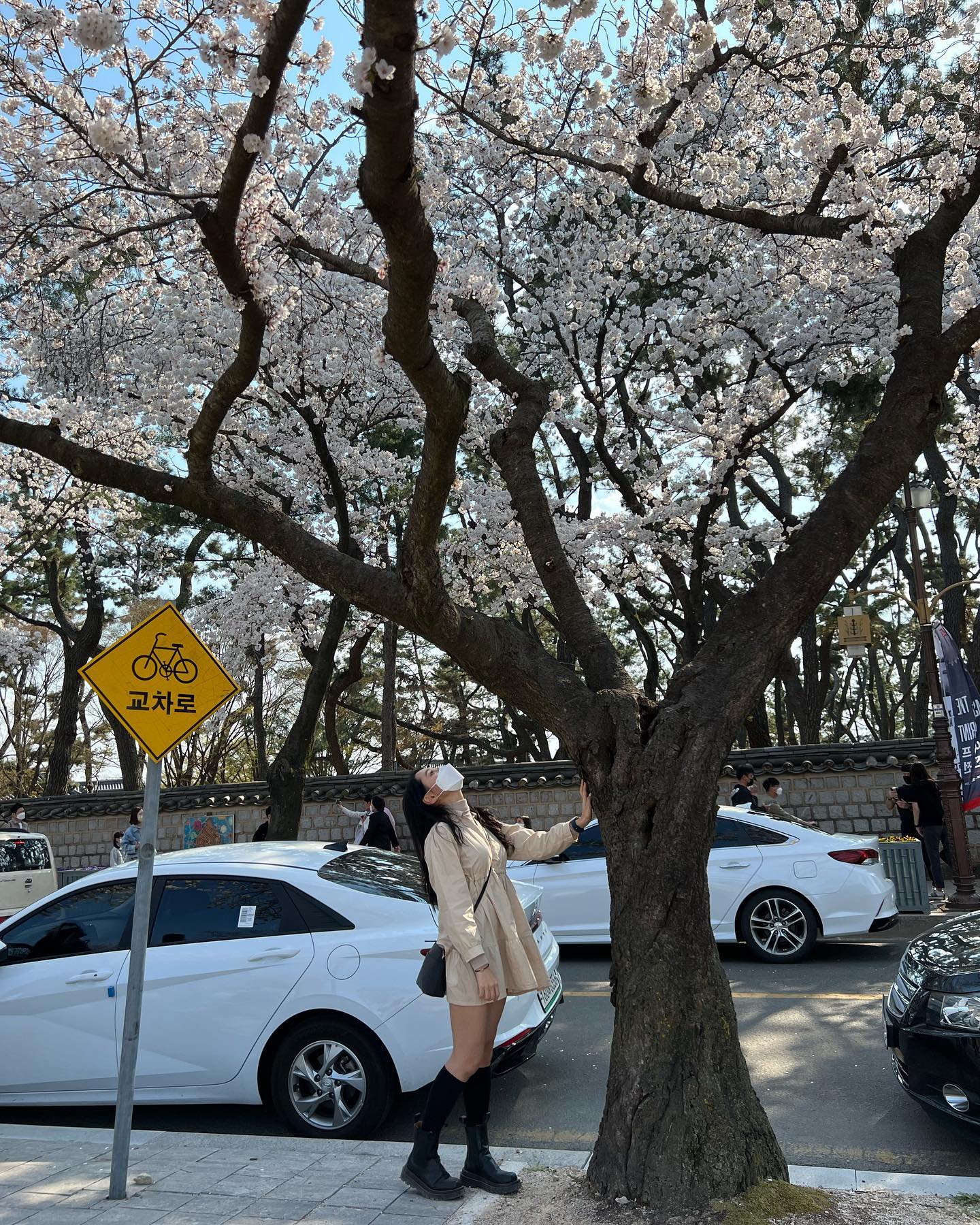 #🌸

경주여행 3일차