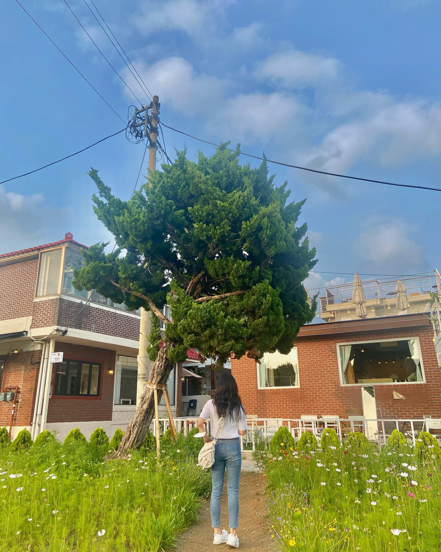 SYRM🌙 - 2
10/15에 봅시댱💕

+) 왼쪽 팔 🦟 8방 물린 날
.
.
.
#솔쨩의일상 
#행궁동 #행리단길 #와인 #selfie