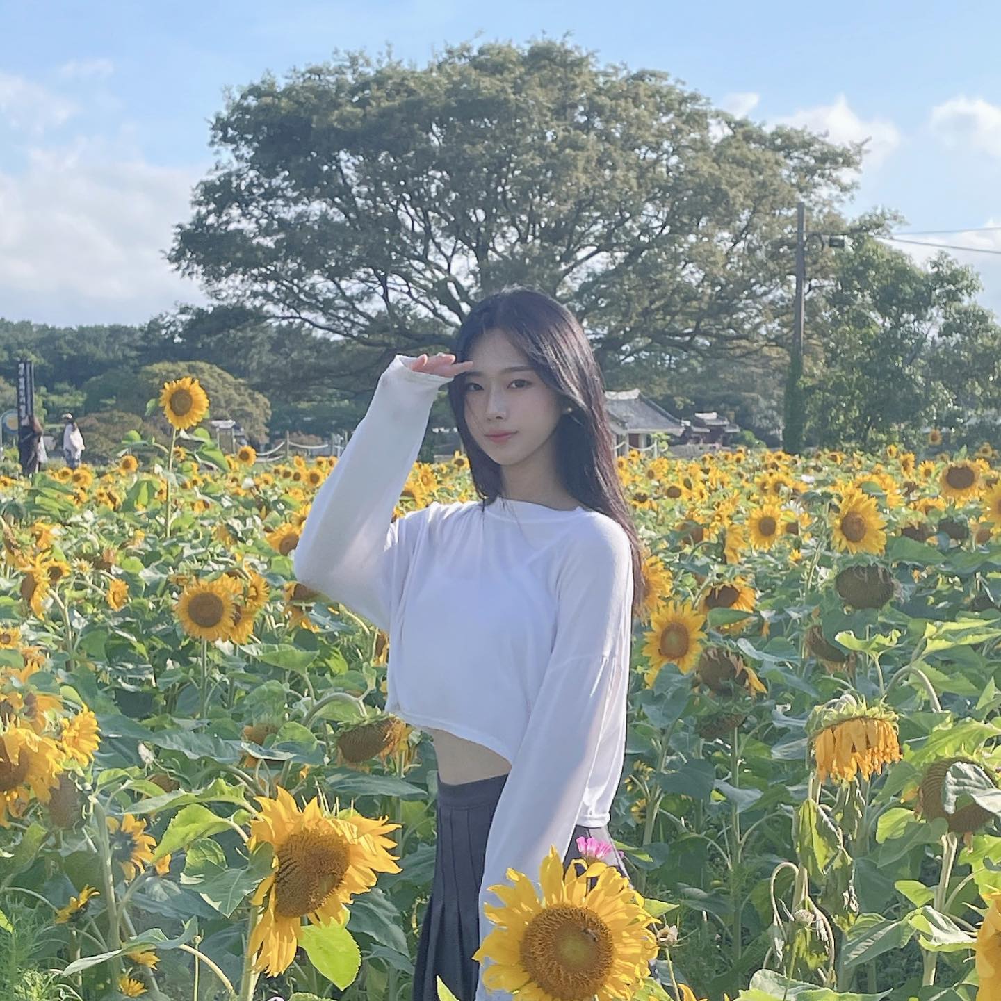 눈부셔🌻
.
.
#jeju #jejuisland #selfie #sunflower #🌻