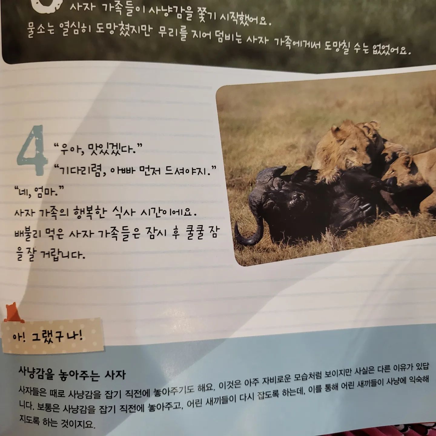 #자연관찰책 에 빠진 딸 덕분에
매일매일이 재밌고 새롭네요~~
#자연이소근소근 인데 #인성동화 인줄 알았지 뭐예요~~

아빠먼저 식사하시고 
먹는 예절바른 사자처럼

우리 아이들도 예절바른 친구들이 되면 
너무 좋겠네요~~~

#부족한어휘 #배경지식 은
#책 으로 보충해줘야
아이들이 자연스럽게 습득한답니다!!!