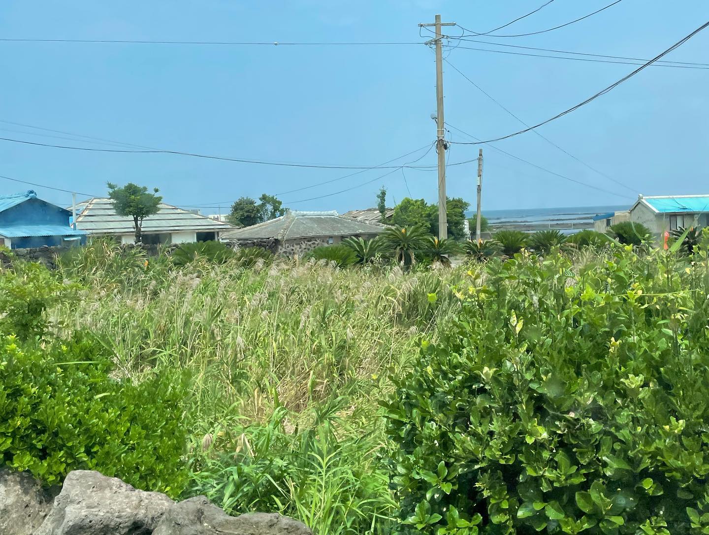 후루룩 제주🌴