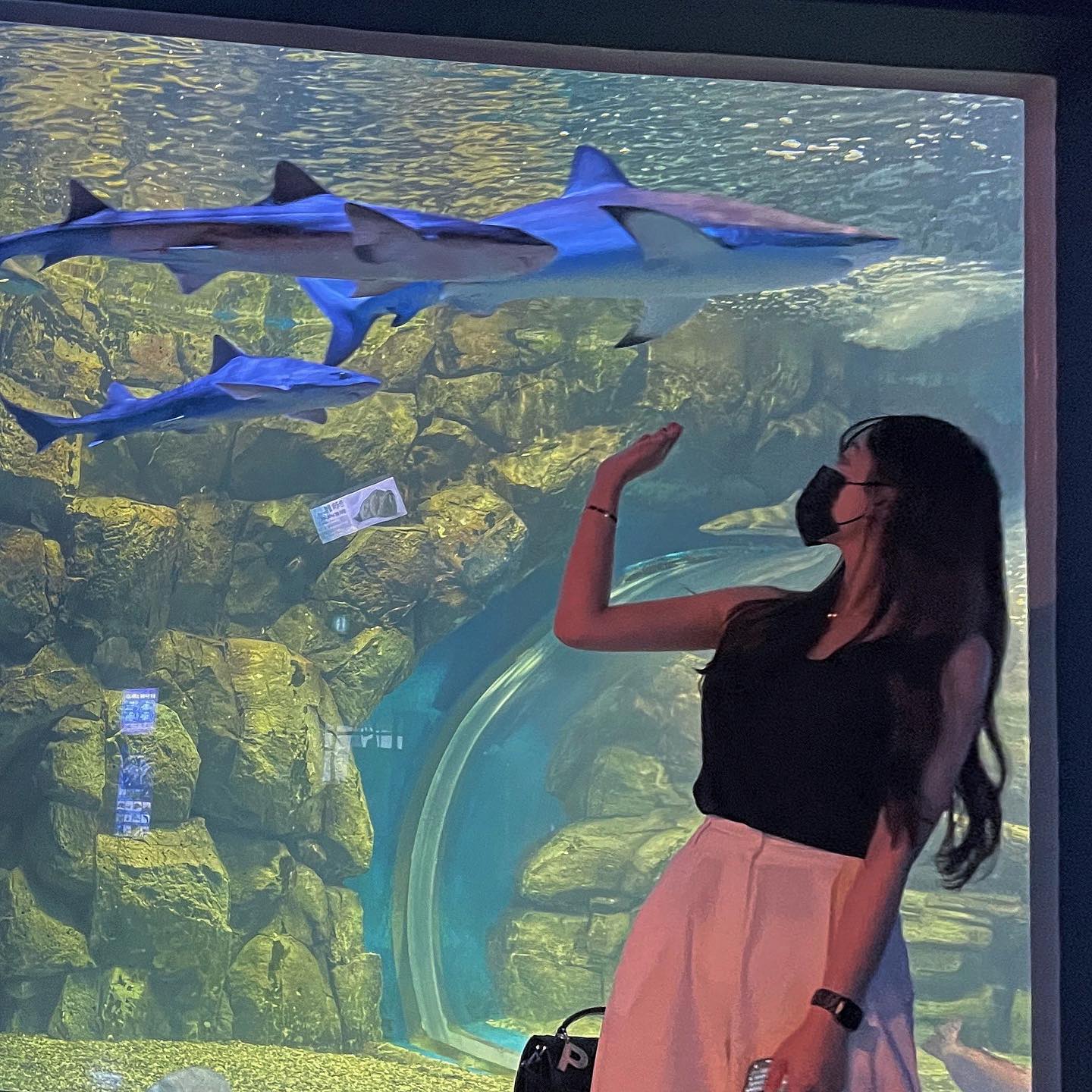 상어 브라더스 하이!🦈💙