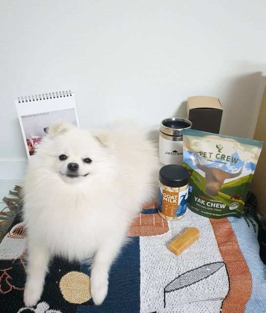 💜쉐리💜 on Instagram: "#이벤트당첨 #내돈내산 후 당첨! 히말라야 야크츄의 세계에 발을 들인 순간 이벤트에 당첨 되었지 모야 이거슨 크리스마스 선물인가멍🎄 야크츄는 요즘 쉐리가 제일