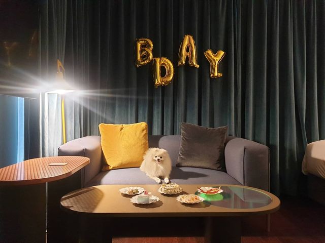💜쉐리💜 on Instagram: "Happy Birthday! Sherry 🎂 사랑하는 쉐리야 💜 오늘이 벌써 너가 태어난지 1년이야. 언제 1년이 되나 했는데 벌써 1년이 되었어. 처음 만났을때 내 옆에 착 앉던 모습이 아