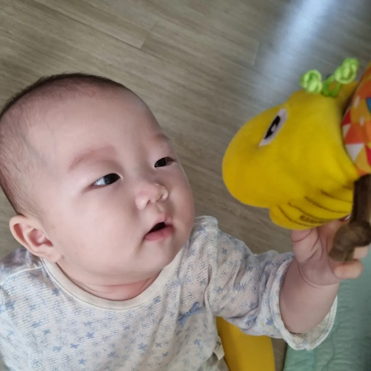 [육아필수템] 국민애벌레