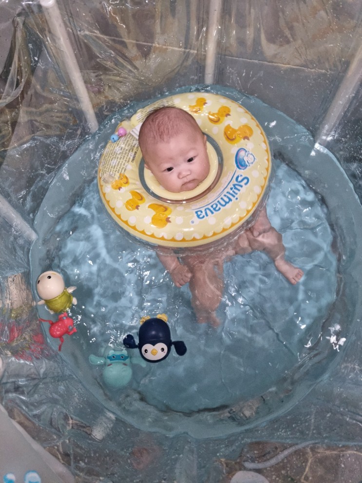 [육아필수템] 아기수영장 스위마바