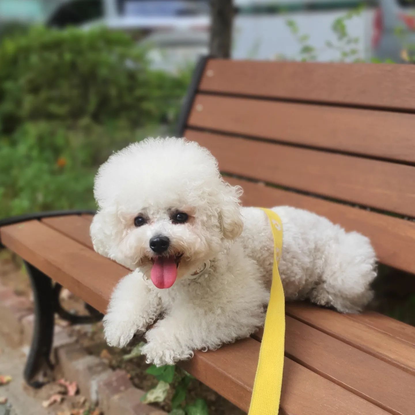 엄마 따라 시장 갔다가 그대로 녹아버렸지모야😆