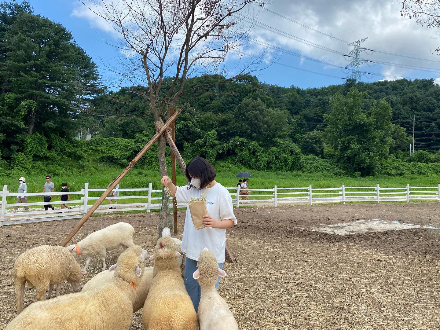 즐거운 방학🌼
#가평 #양떼목장 #양