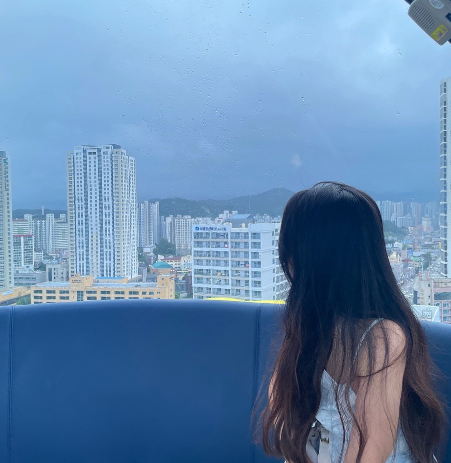 🎡