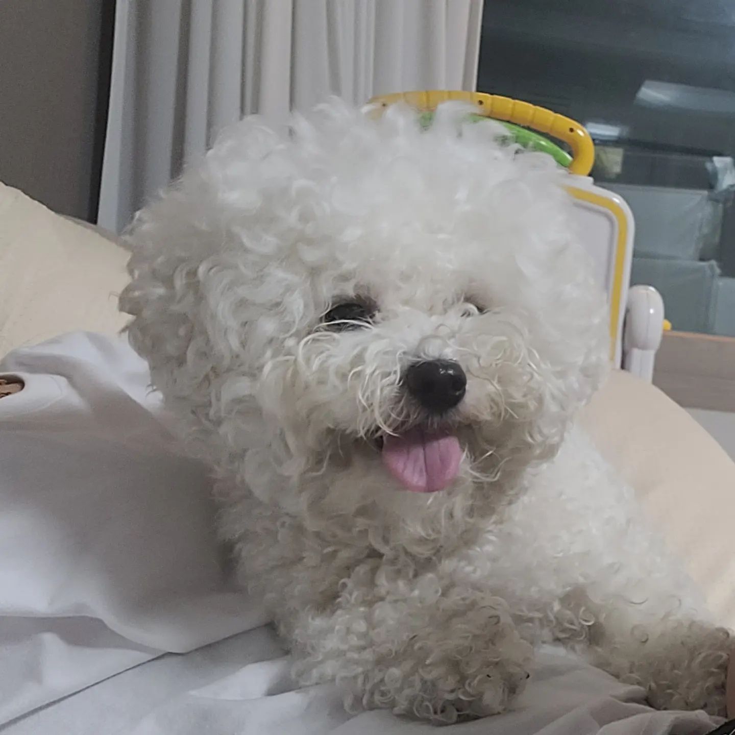 깔끔하게 자리싸움 승리