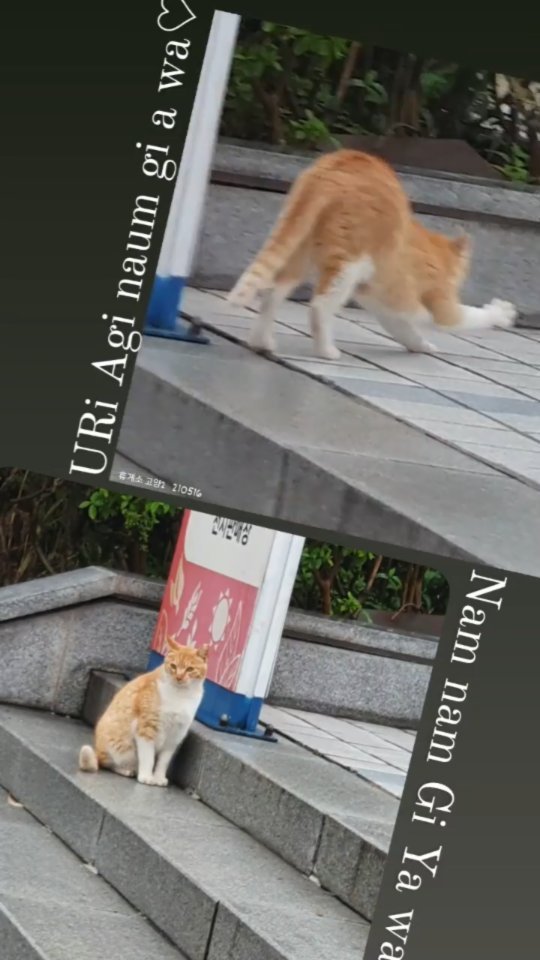 ⍤⃝ ⍥⃝

인서타가 만들라고 추천해서 함 해봄!