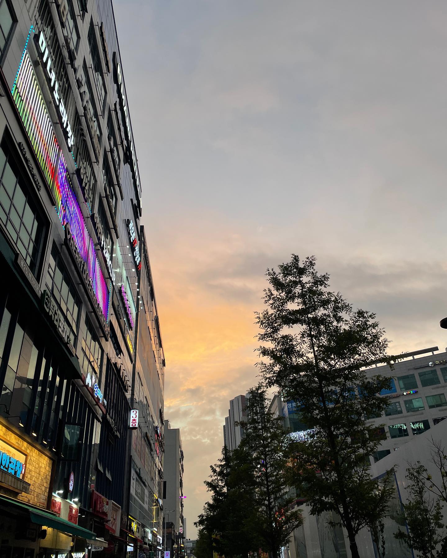 마지막 3차 노래방이 끝나고 나오니
날이 밝고 노을이 뜨기 시작하길래 찍음
근데 막상 찍었는데 잘나왔자나??