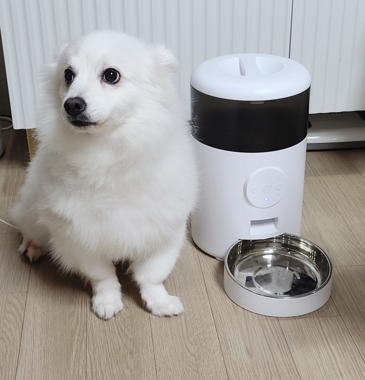 강아지 자동급식기 VANBOT 반려동물 자동급식기 리뷰