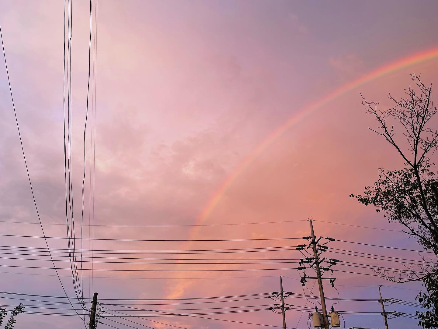 핑크빛으로 물든 하늘☁️
