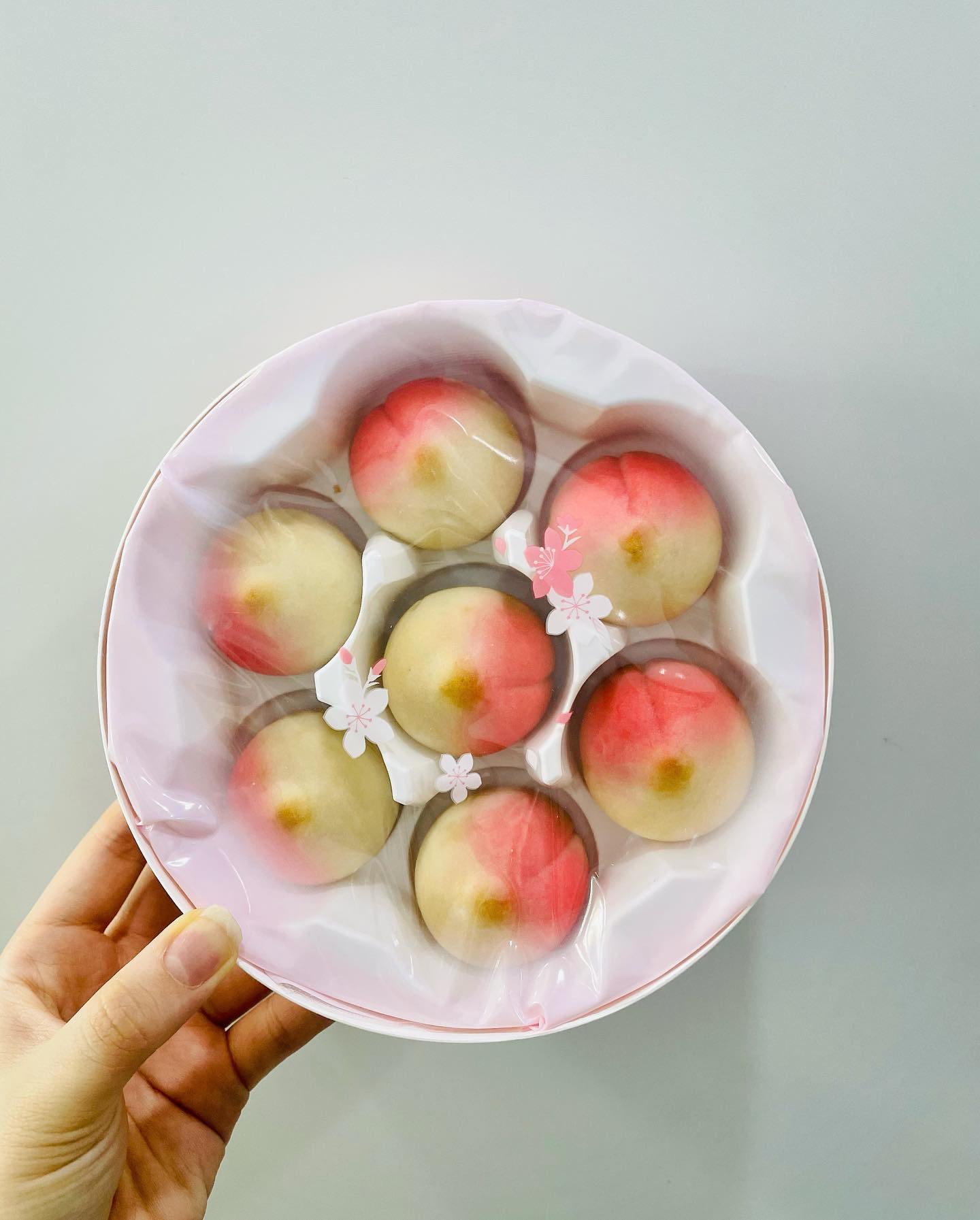 저 다이어트...! 담주부터 꼭 할거에요~!
안하고 먹기만하면 댓글로 뭐라 해주세용~~ㅎ

오늘은 먹기 아까운 복숭아모양 #복숭아빵 
커피콩빵처럼 복숭아 모양에 복숭아앙금이 들어있어요~~!! #강원도여행 다녀오면서 기념품으로 받았어요~~!! 먹기 아까웠지만~~
순삭해버렸죵🤪🤪😋😜