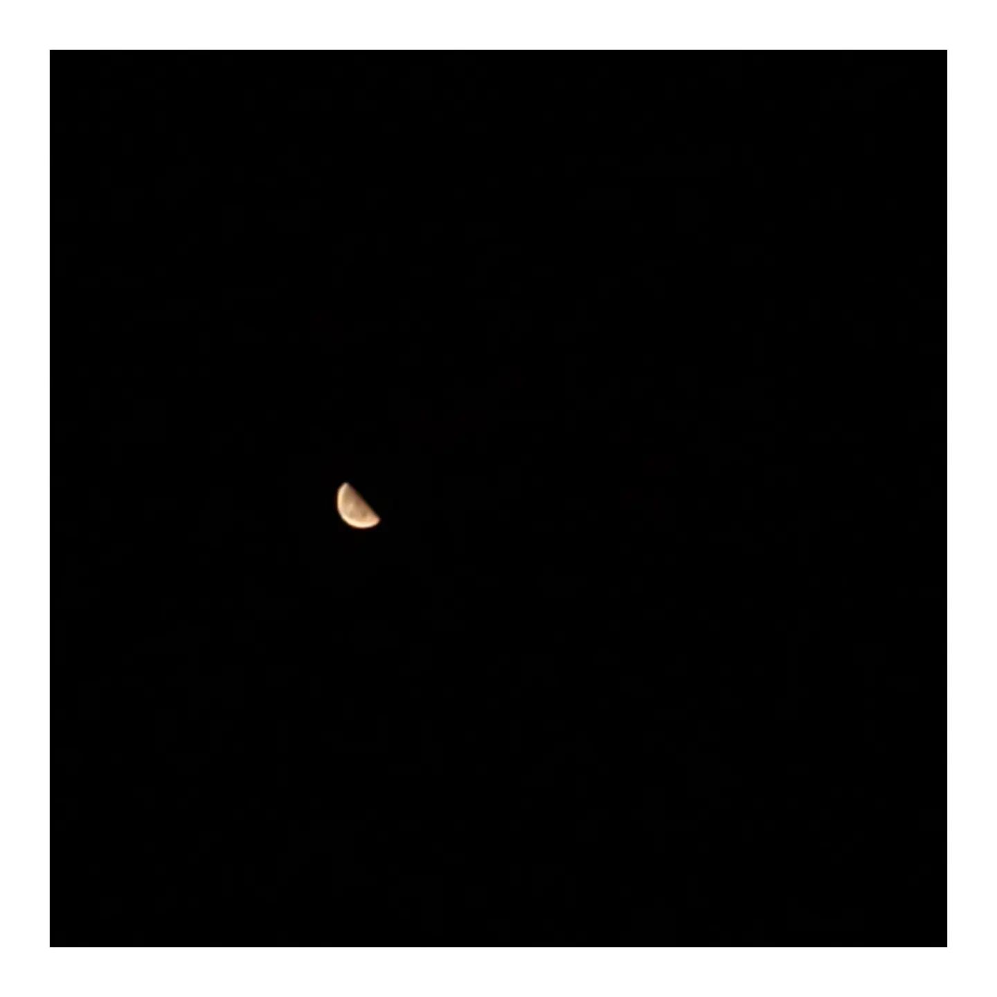 #20220818

오랜만에 할 일좀 하고 집에 가는데 하늘에 단무지가 똬앗!🌗

나 나름 사진좀 찍는듯 호호 카메라 좀만 더 좋았으면🥺

사진 찍다가 모기 2방물린림😂

#퇴근길갬성 #밤하늘에다알