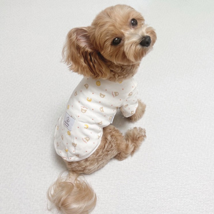 그라시아펫츠 강아지옷 무자극 오가닉코튼 반팔티 후기