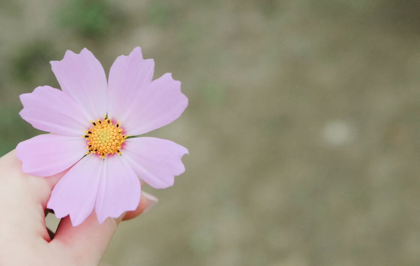 가을의 시작 🌼

서서히 가을로 물들어가는 도시.
올해 가을도 좋은 기억들로
한가득 채워졌으면 좋겠네요.

선선해진 바람을 타고
행복한 소식만 전해지기를 :)

L'automne commence.