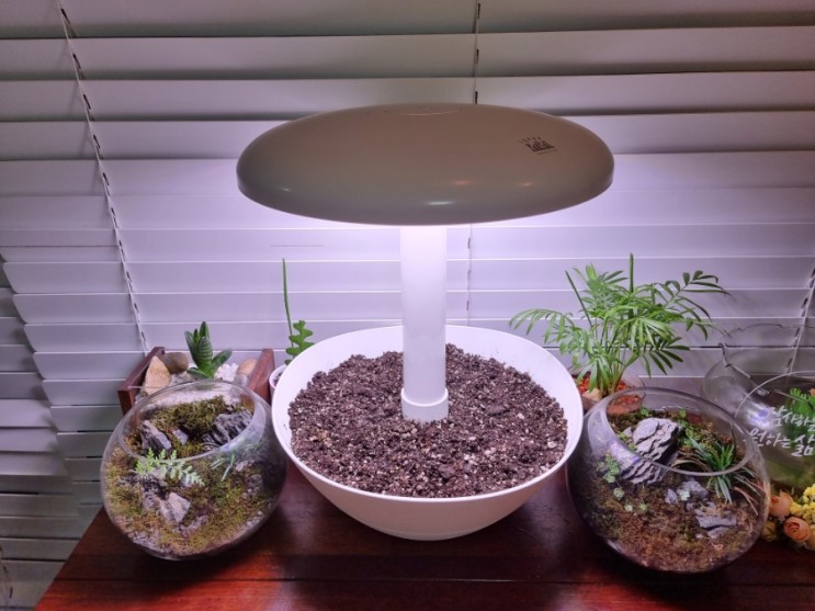 감성인테리어 채소재배 파르팟 led 식물재배기 1석3조!