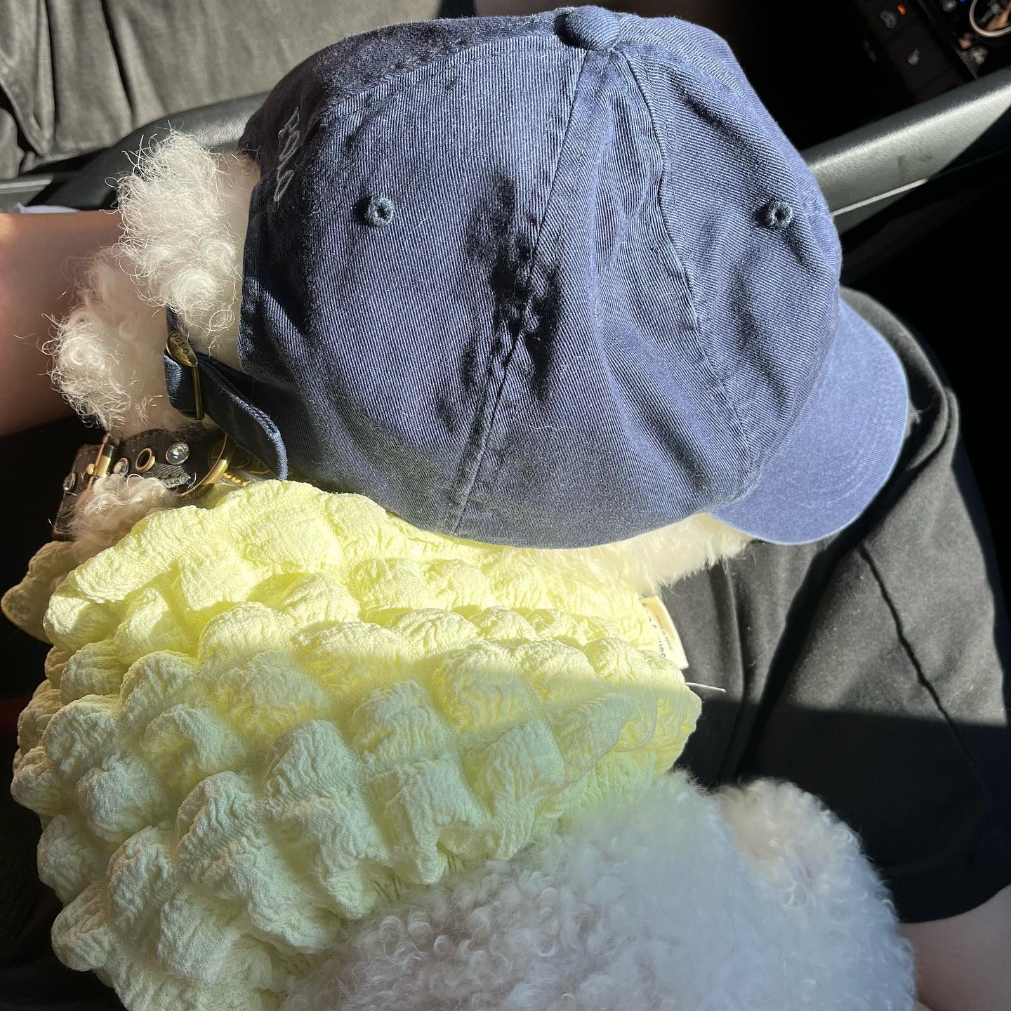 여름에는 모자가 필수였는데 🧢
오늘은 우산이 필수겠고만 ☂️