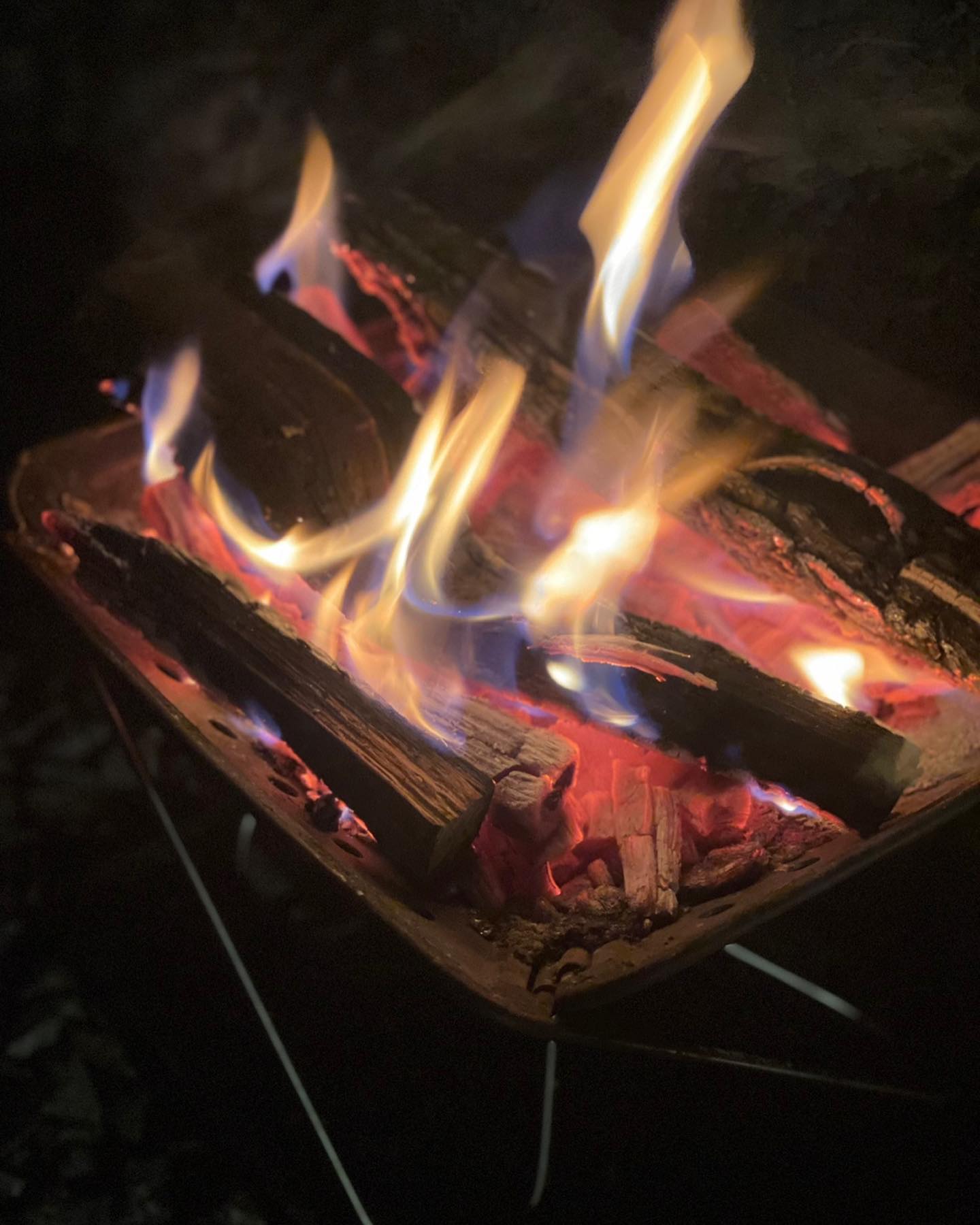 열이올라요🔥애옹🐱

여름동안 쉬었던 불멍 다시 시작할 수 있는 가을이 왔어요🍂
가을….불….고구마🍠
고구마 주문해야겠당 희희

경기도는 언제 태풍이 왔다 갔는지도 모르게 날씨가 화창해졌어요☀️
다들 이번 태풍 무사히 지나가셨길 바라요🧚