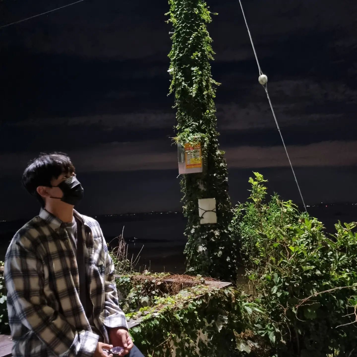 가을저녁🍂+초록🍃=💚
.
.
.
#추석  #가을저녁 #신학과