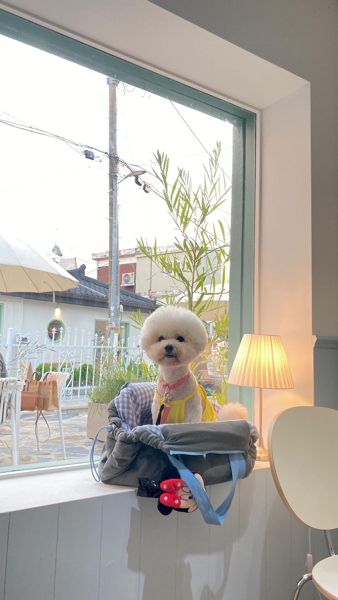 -

때빼고 광내고 콩두유 오랜만에 행궁 개이트ෆ⸒⸒