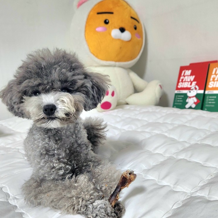 강아지 수제간식 임포시블) 닭안심 안전하게 섭취가능