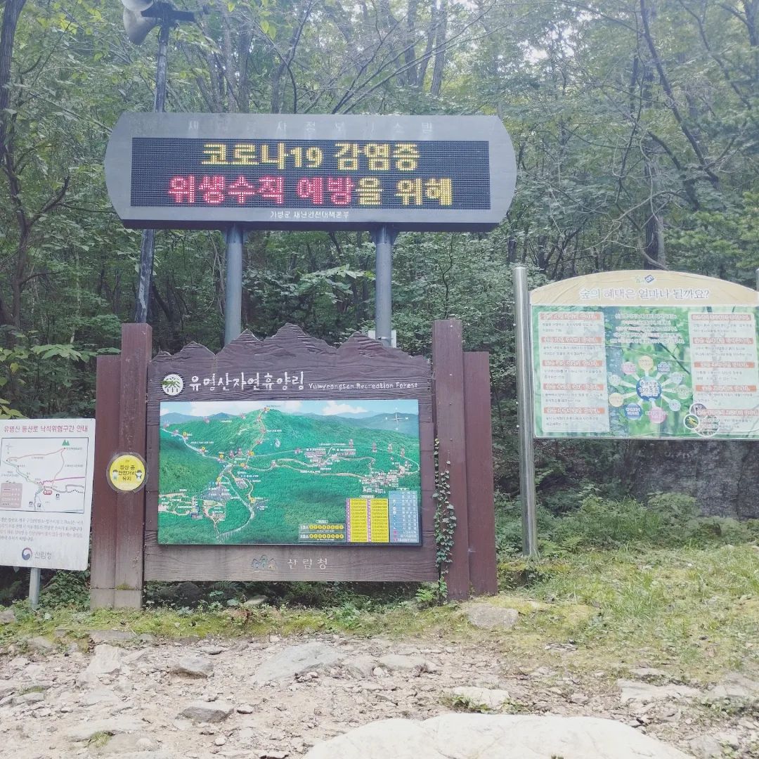 국립 유명산 자연 휴양림⛰️
가평이라 교통편도 좋고
날씨 좋아서 그런지 차박, 야영하는 분들도 많고
산멍 때리기 좋았던 곳 🧘‍♀️
버너 안가져가서 고기 못 구워 먹어서 아쉬웠지만 또 가고싶은 힐링장소🤗