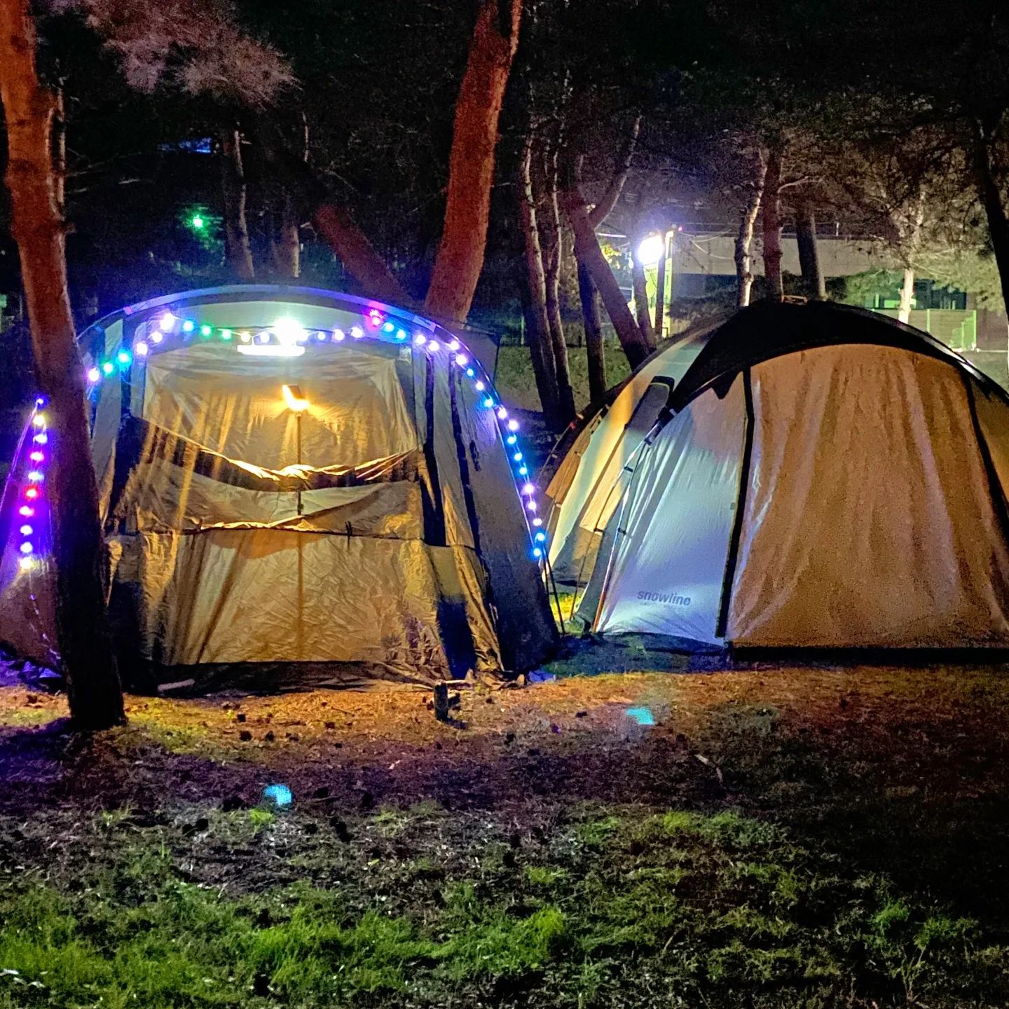 220924~220925🏕
#기회송림야영장 #캠핑
👉메뉴
라면
꼬치어묵탕
마라탕
통삼겹스테이크
삼겹살&소세지
닭꼬치
옥수수버터구이
군감자 
쫀드기
마시멜로우
달고나
#돼지파티
