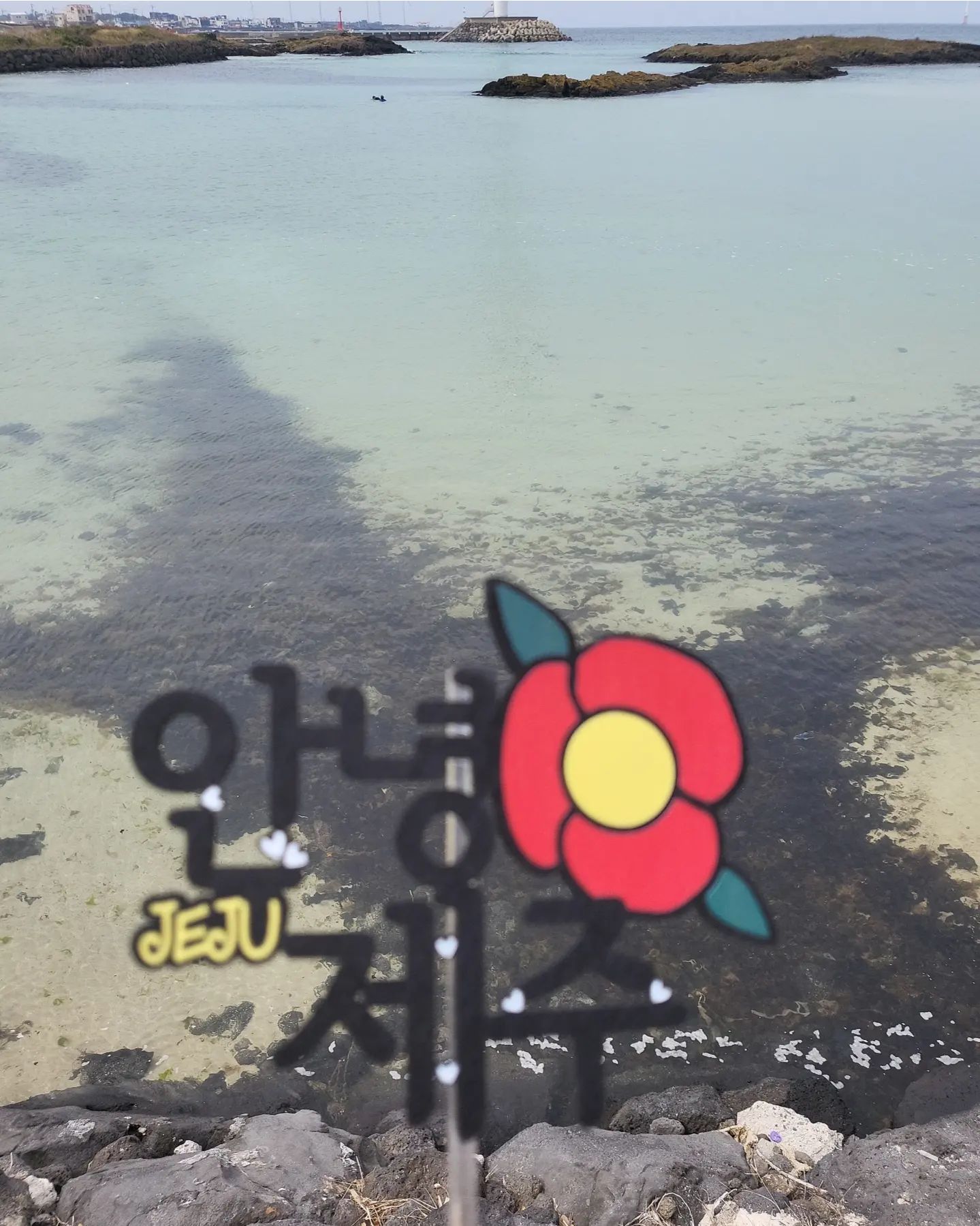 .
안녕제주👋

#제주 #jeju #제주도
#에메랄드빛바다
#제주여행
