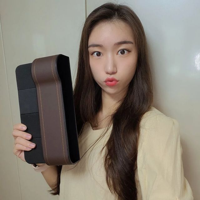진아 on Instagram: "#광고 블랙, 브라운, 베이지 등 심플한 컬러로 차량 톤에 맞춰서 선택이 가능하고 콘솔과 시트 사이에 끼우면 끝! 1초 만에 설치할 수 있어요 음료부터 다양한 소지품까지 깔