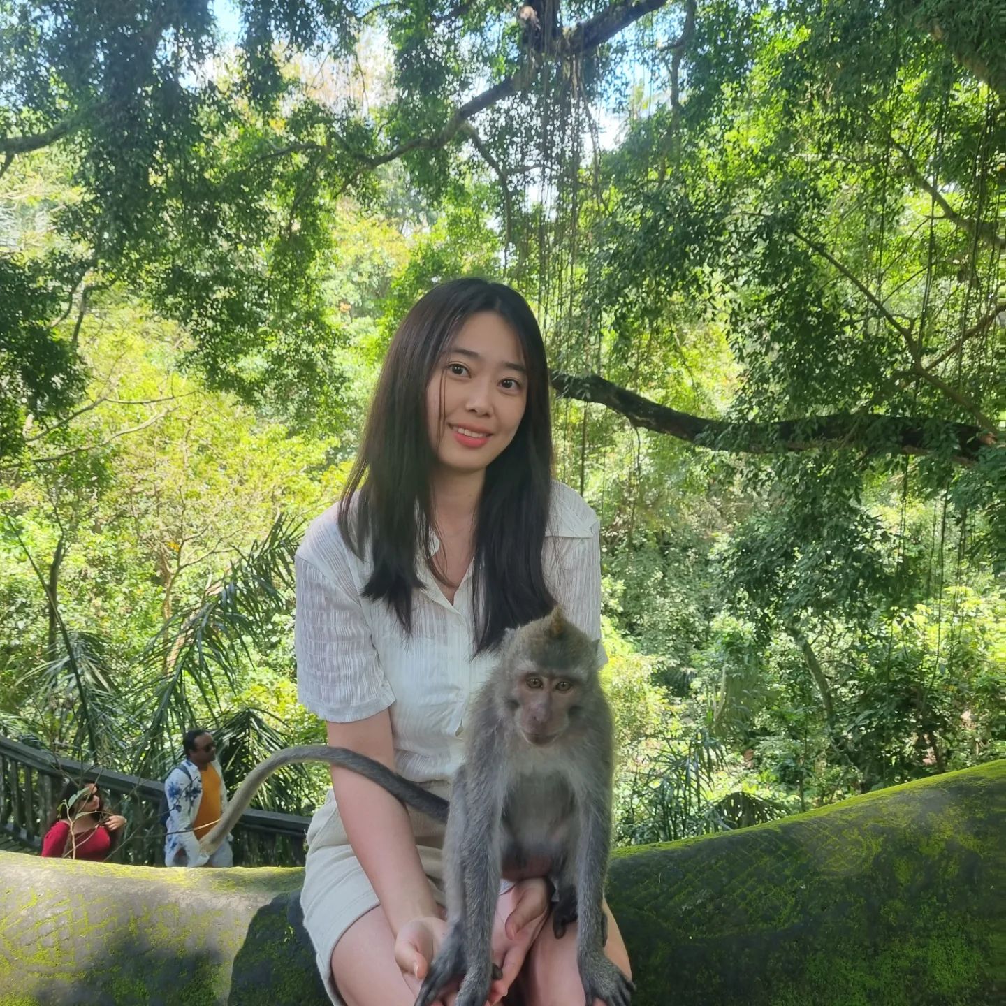 발리에서 마지막 날은 몽키포레스트:)
코 앞에서 원숭이 보고, 사진도 같이 찍는 평생 첫 경험 즐거웠다ㅎ 태어난지 얼마 안된 애기 원숭이도 소듕...☆
사진 찍을 때 쫄아서 뒤에서 나만 동공지진ㅎ
그래도 내가 동동이보다 용감했다👍
TMI 원숭이 발바닥은 말랑말랑해따
.
.
.
#인도네시아 #발리 #indonesia #bail #몽키포레스트 #원숭이 #monkey #여행 #여행에 미치다 #여행스타그램 #행복 #힐링 #휴가
