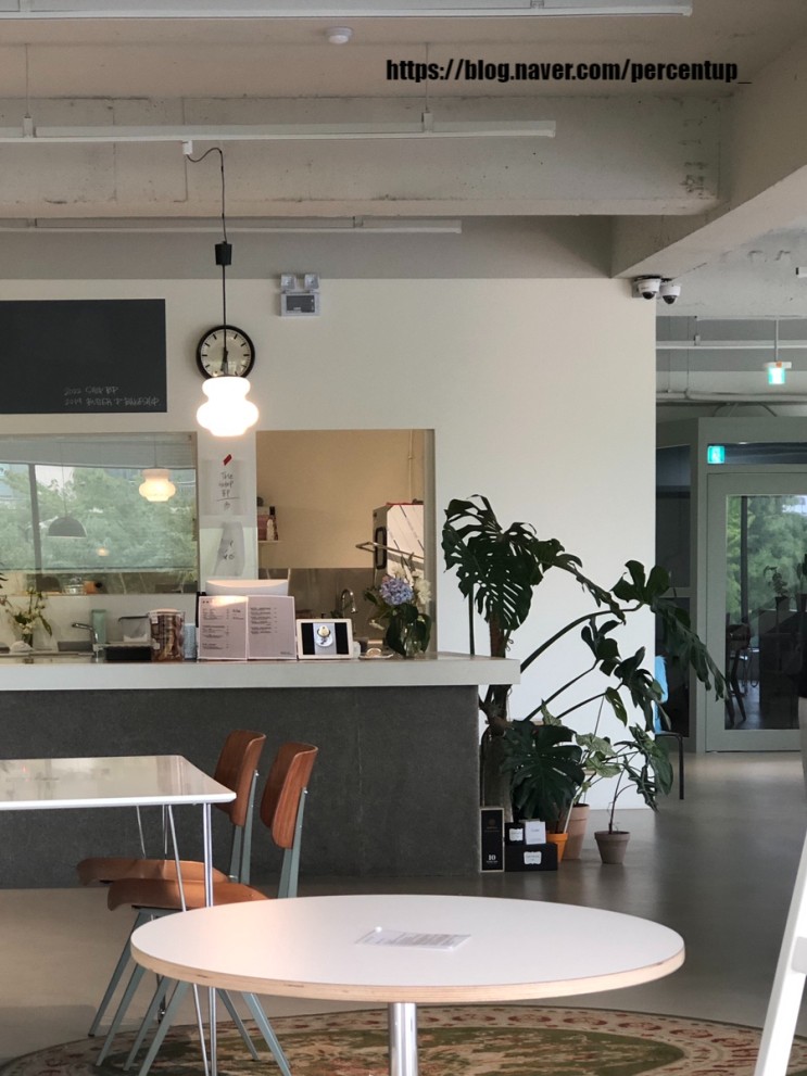 대전 둔산 핫플 hip-cafe 【숍비피 SHOPBP】